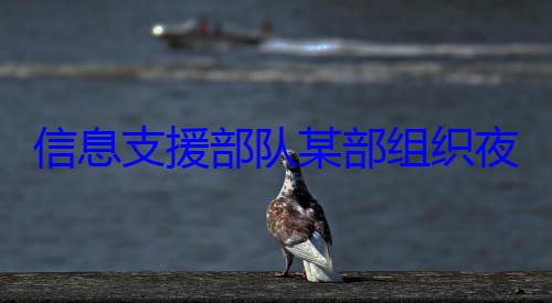 夜间修理训信息支援部队某部组织练图