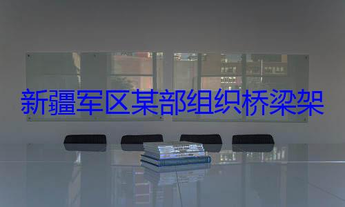 部组织桥梁架设训练新疆军区某图